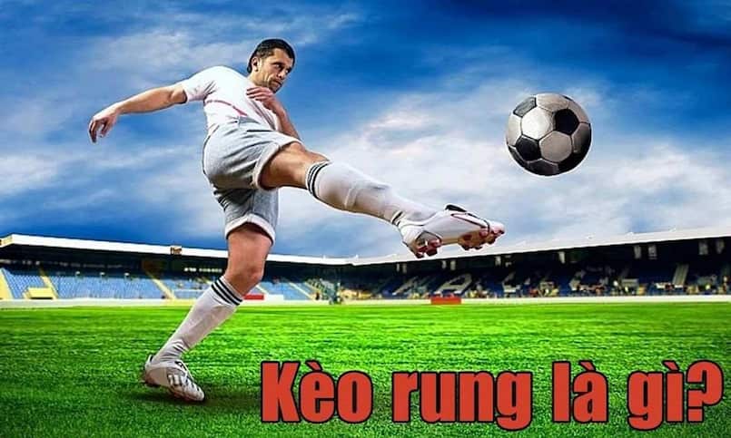Kèo 2 2.5 Là Gì? Giải Thích Dễ Hiểu Và Chuẩn 100% Từ 8XX - Janopi