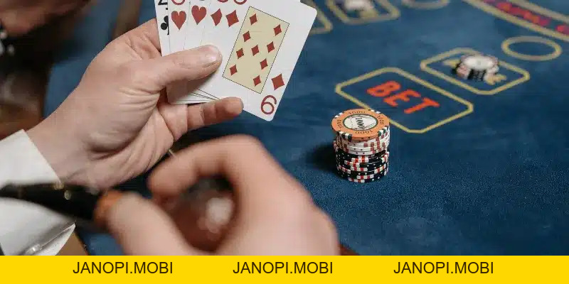 Tin tức - 789p - Janopi