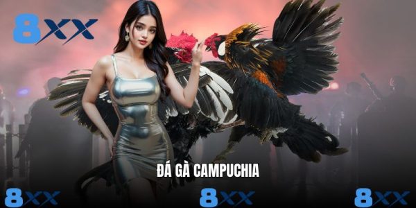Đá gà - 8XX - Janopi