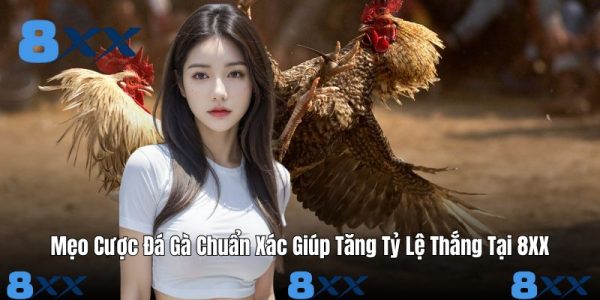 Đá gà - 8XX - Janopi