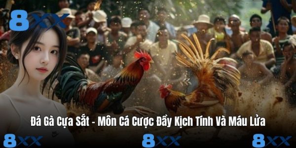Đá gà - 8XX - Janopi